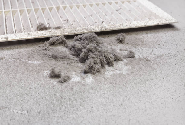 Best Best Air Duct Cleaning Near Me  in Cheat Lake, WV